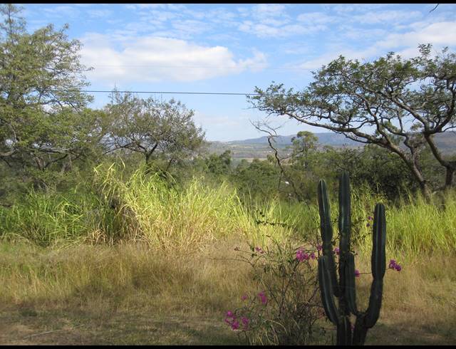 24.60HA FARM FOR SALE IN BERYL